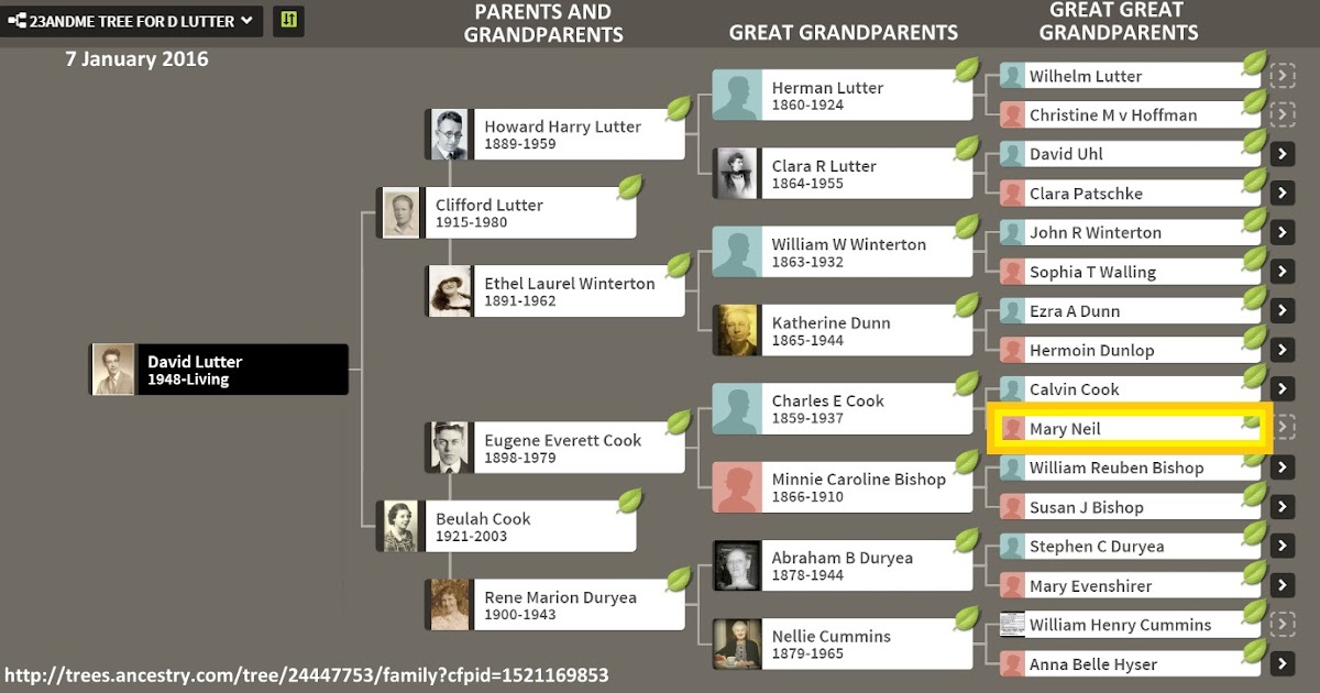 Family History Research by Jody Genealogy Brick Wall Crumbled