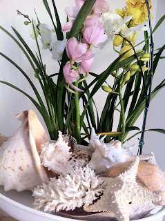 itens mar, conchas, estrela do mar, vaso de flores, flores