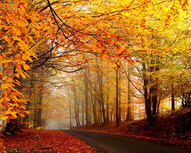 Autumn-pictures-+Wallpaper-Photos-gallery-2011-037