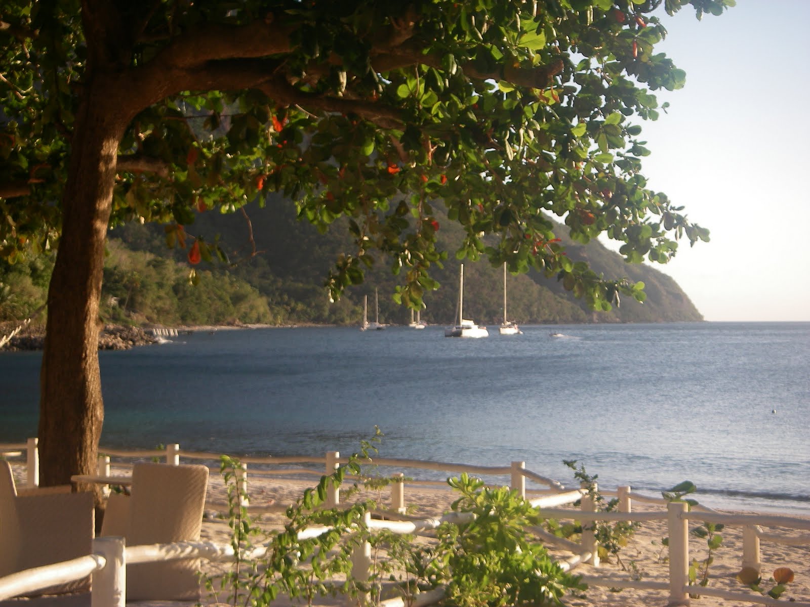 Grand Pitons