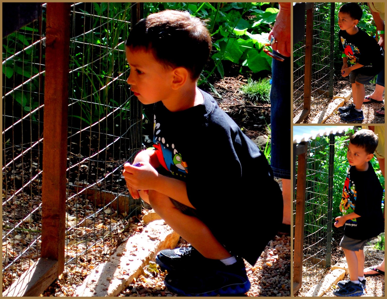 Notes from Maggie's Farm road trip! austin funky chicken coop tour 2012