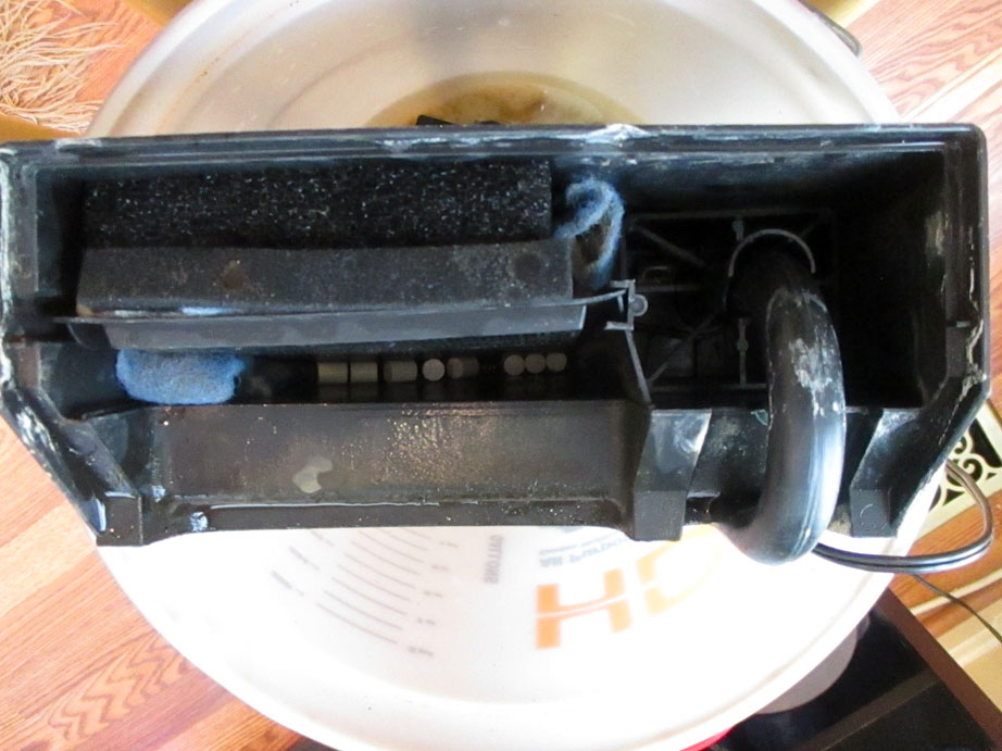 Exactly how does the flow go thru HOB filter? The Planted Tank Forum