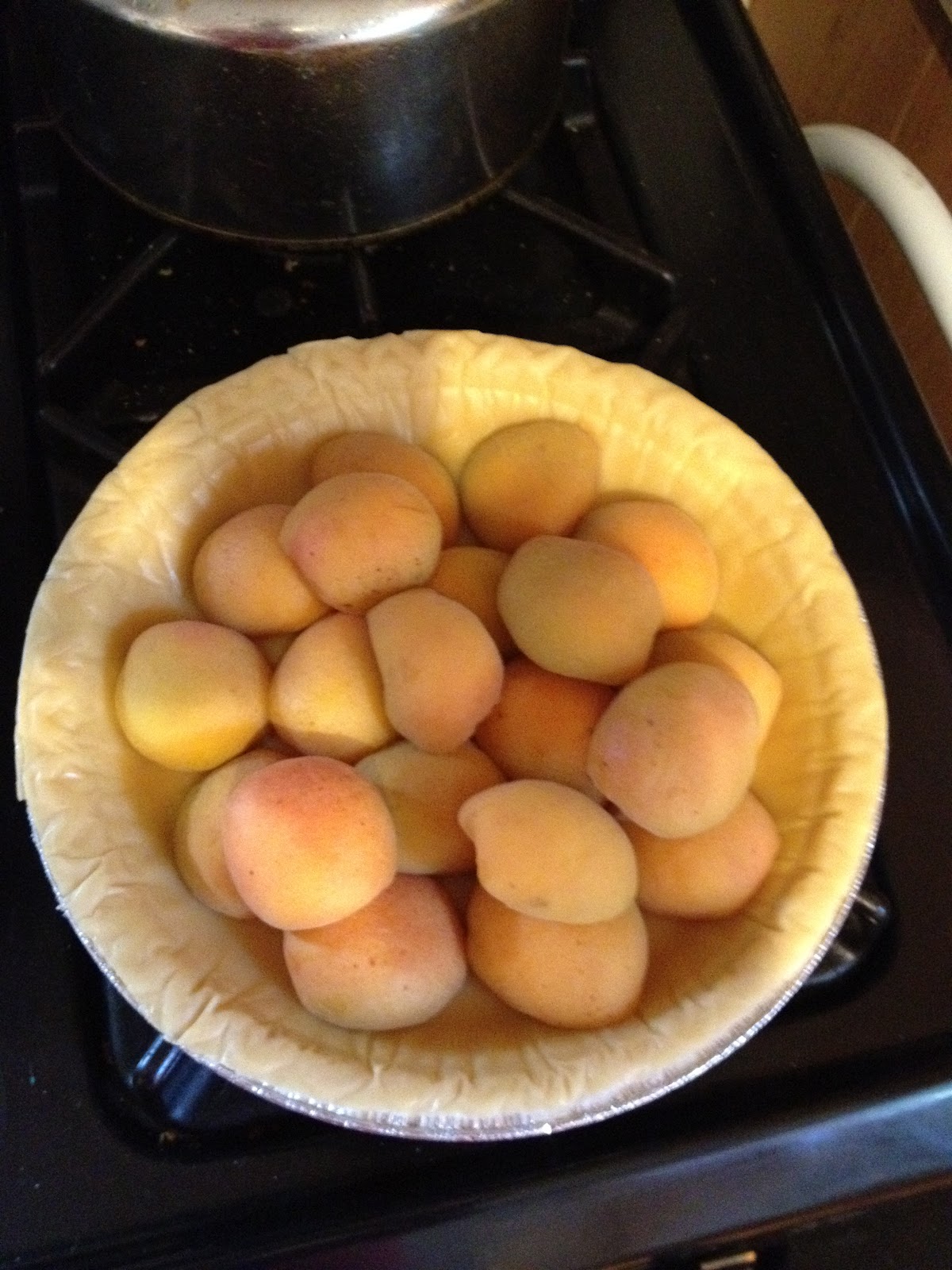 apricot pie