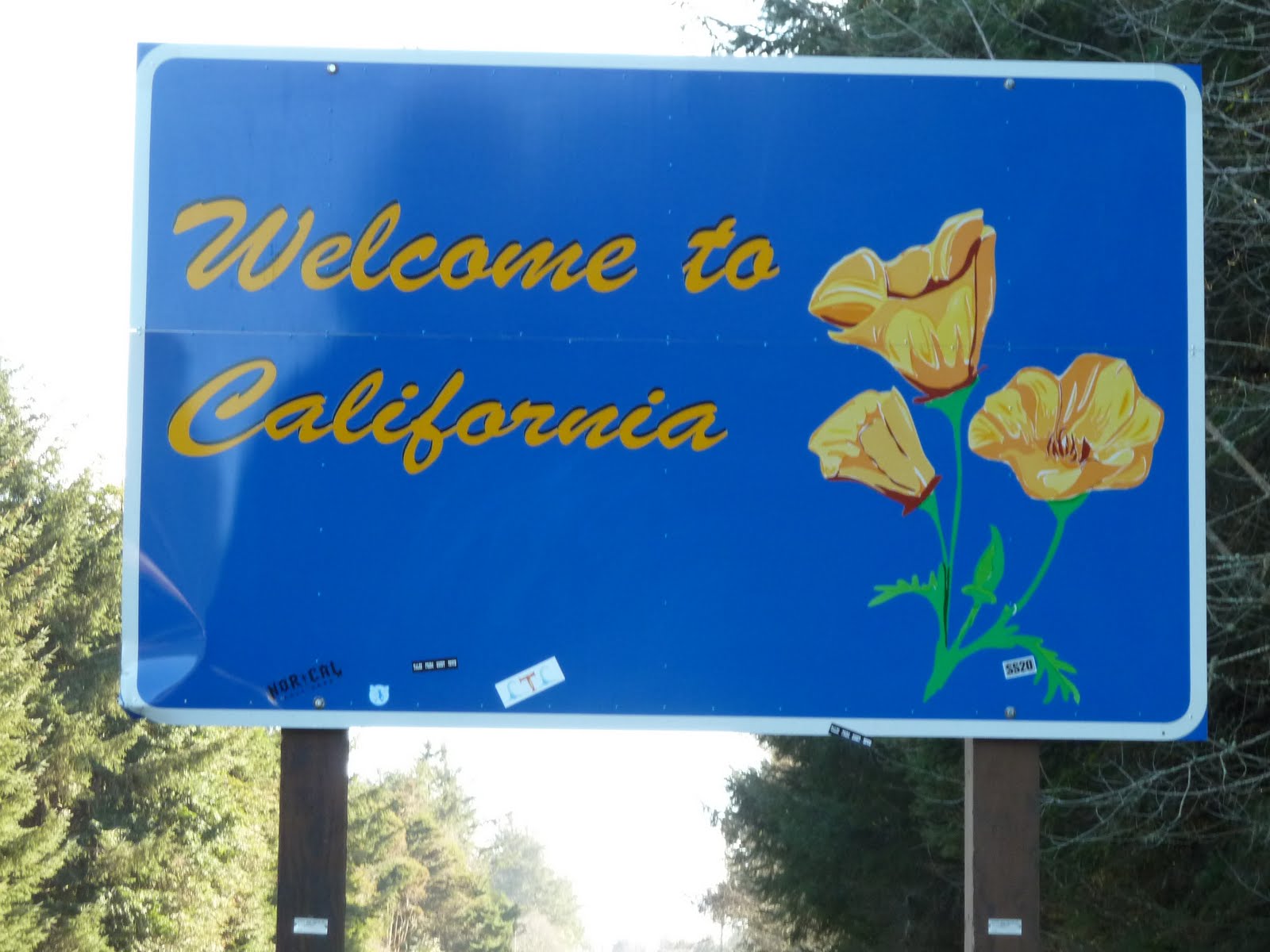 seniors walking across america DAY 44 BROOKINGS, OREGON CALIFORNIA