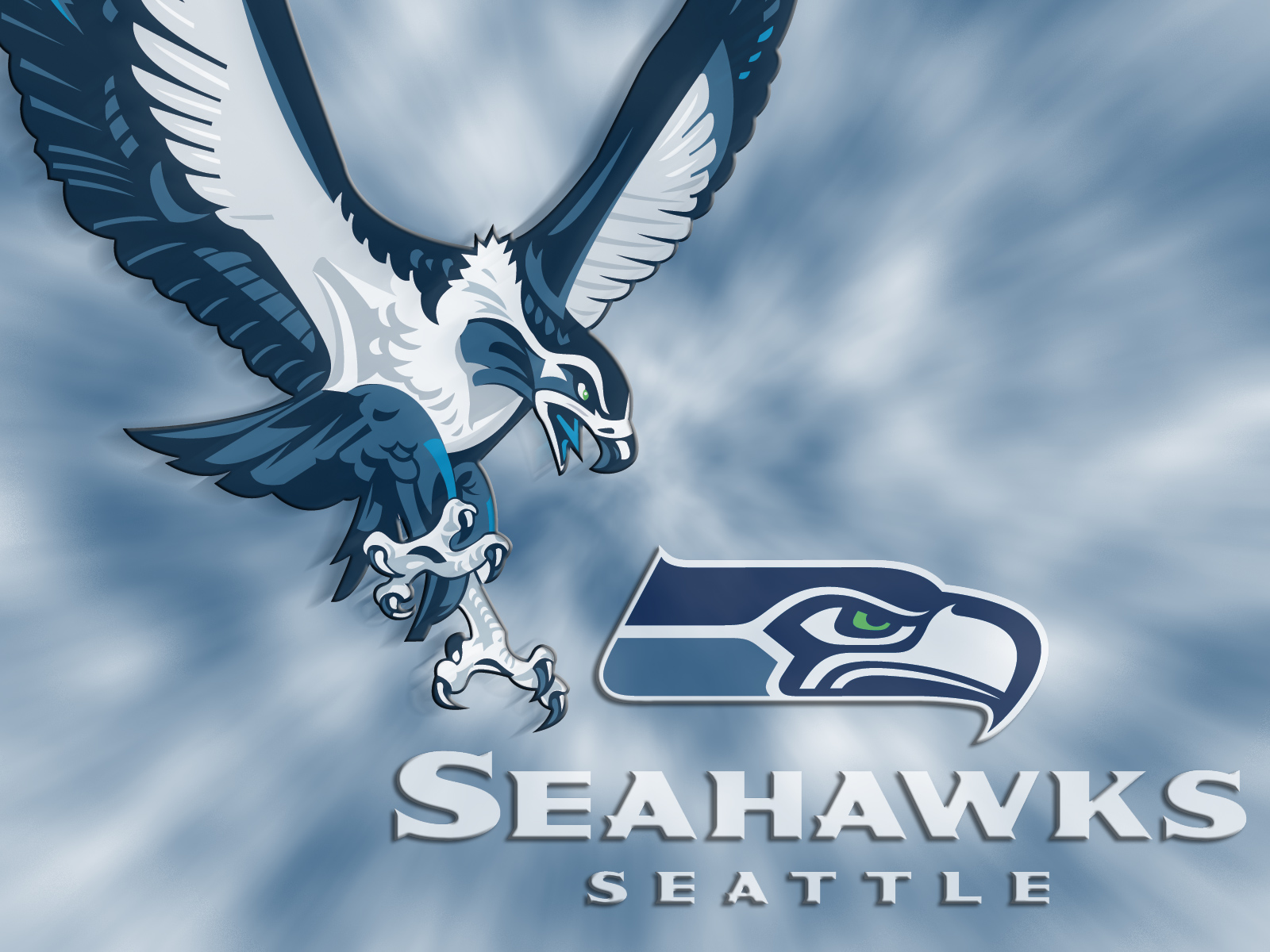 Seattle Seahawks Your Stuff Work
