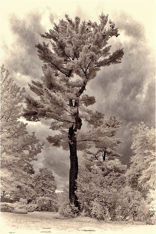 amateur photographers, Best Photo of the Day in Emphoka by Syed HJ, https://flic.kr/p/ph6nnh amateur photographers, Best Photo of the Day in Emphoka by Syed HJ, https://flic.kr/p/ph6nnh