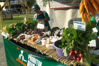 Produtores se preparam para o início de feira no município