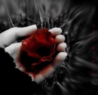 Rosas negras con frases tristes para dedicar (4) Imágenes - Imagenes De Rosas Negras Con Frases Tristes