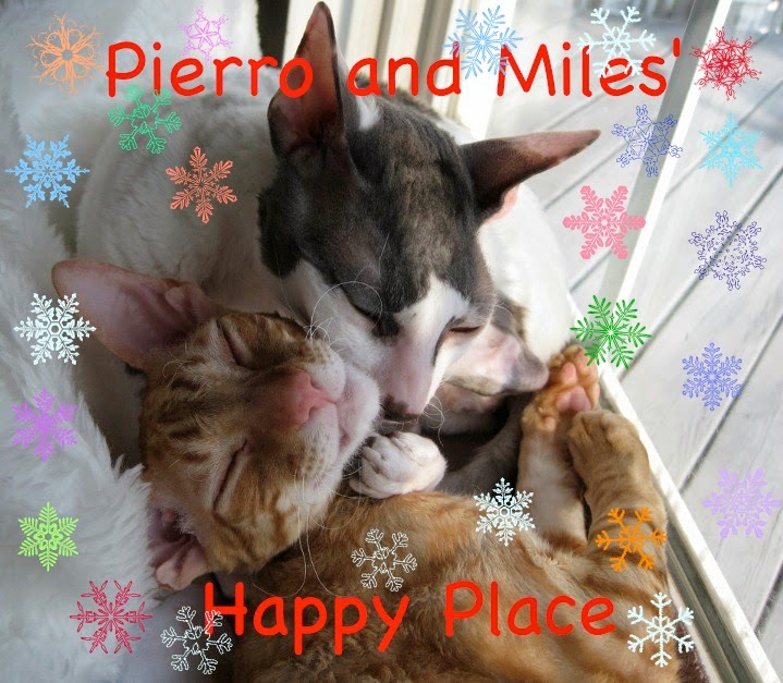 Pierro + Miles' Happy Place