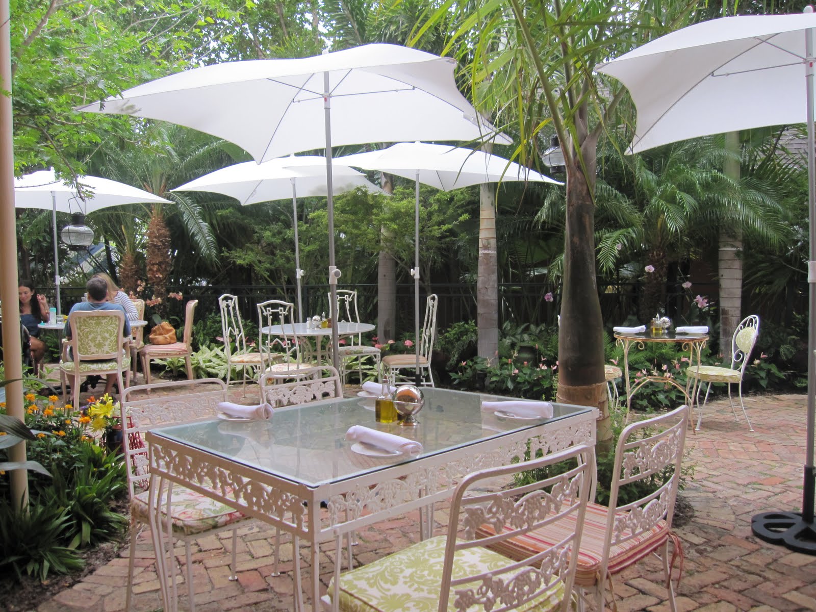 All Purpose Dark Peacock Garden Cafe, Coconut Grove