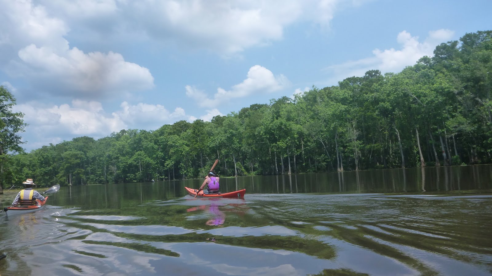 Southeastern Louisiana Paddling Kayaking Natalbany River to North Pass