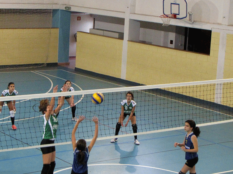 CR Piedense Voleibol
