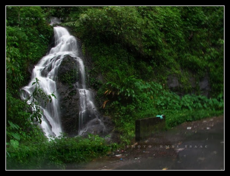 sholayar rain forest