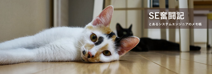 SE奮闘記