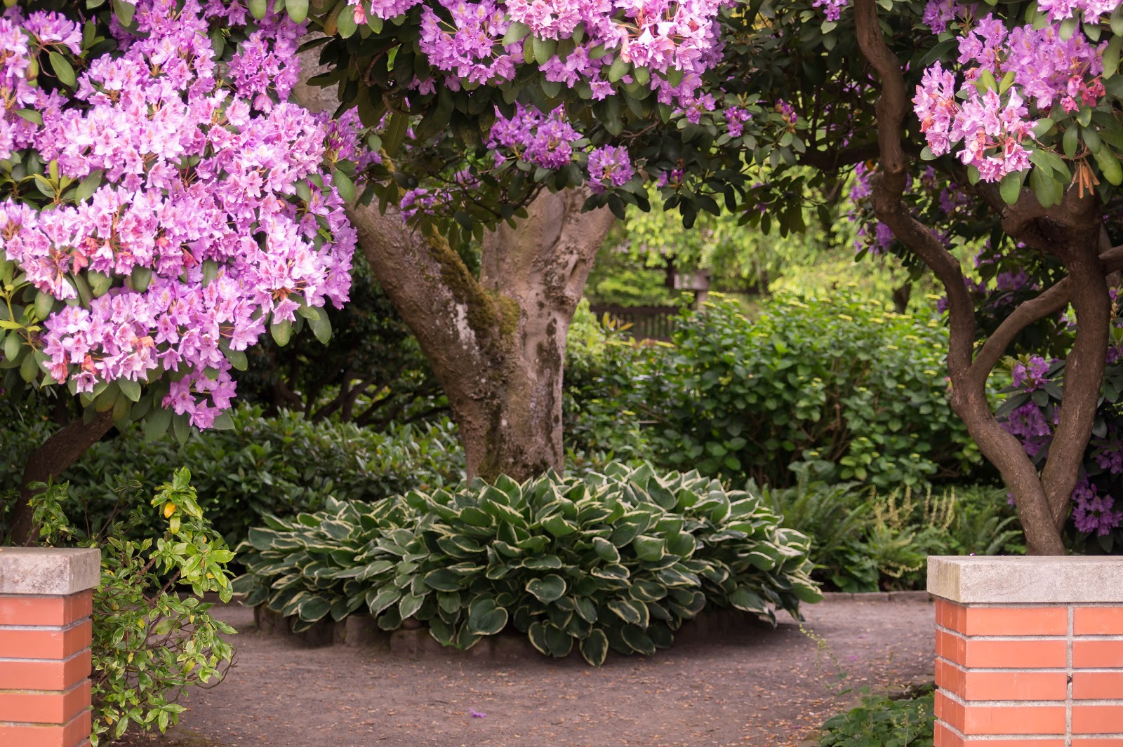 В глубине района спрятан небольшой но симпатичный парк - сады Парсон.