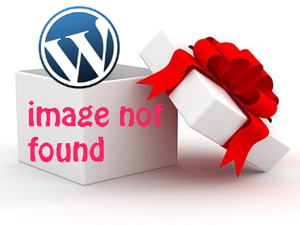 Wordpress Tool Invert Grid
