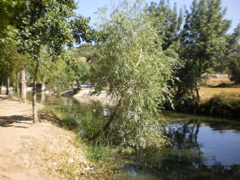 margens do Rio Alviela