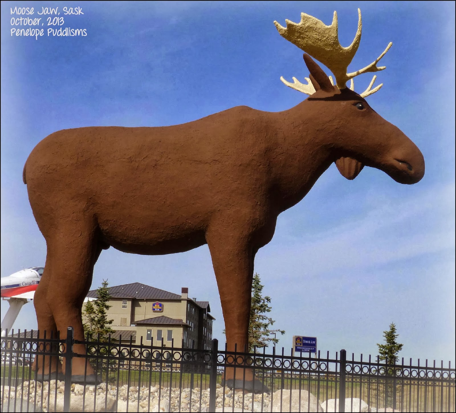 Postcards From Penelope Puddle Back To Vancouver From Moose Jaw & Thankful