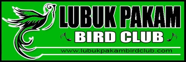 LUBUK PAKAM BIRD CLUB