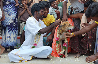 6 Kasus Pernikahan Manusia Dengan Hewan Paling Heboh di Dunia