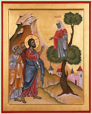 Sunday of Zacchaeus