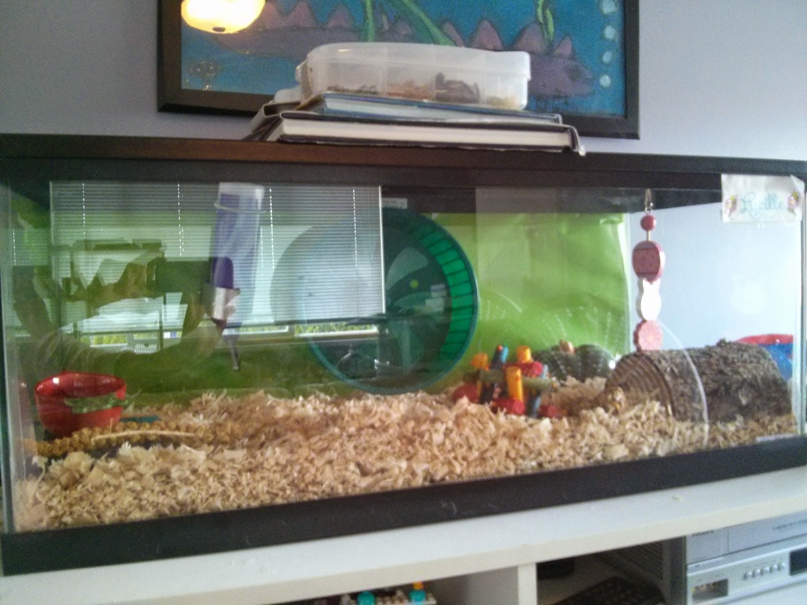 small pet house