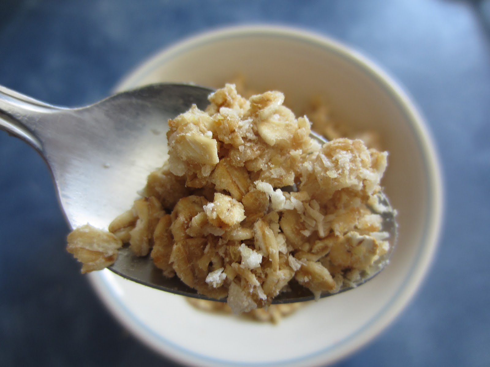 Easy Chewy Flax & Applesauce Granola Raias Recipes