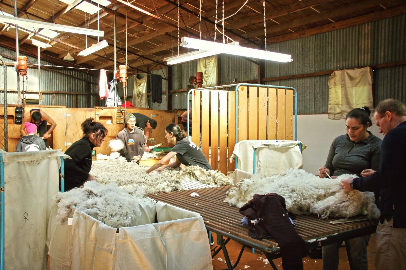 L♥valizious Inside the shearing shed