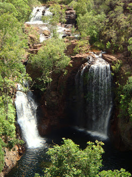 Florence Falls  - View from the Top