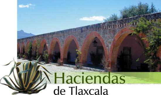 La diversidad de culturas en el México Prehispánico: Nueva España en el