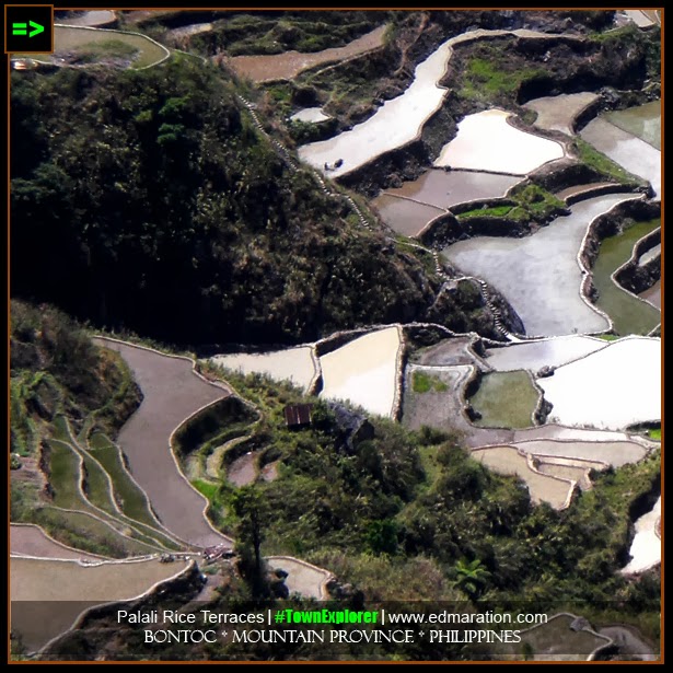 Palali Rice Terraces in Bontoc