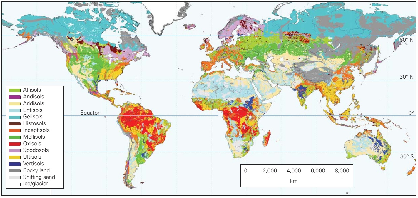 Soil Learning Geology