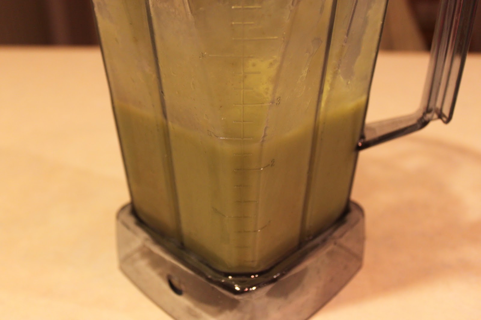 Vitamix HighEnd Blenders Reviews Vitamix Cabbage Papaya Banana Smoothies
