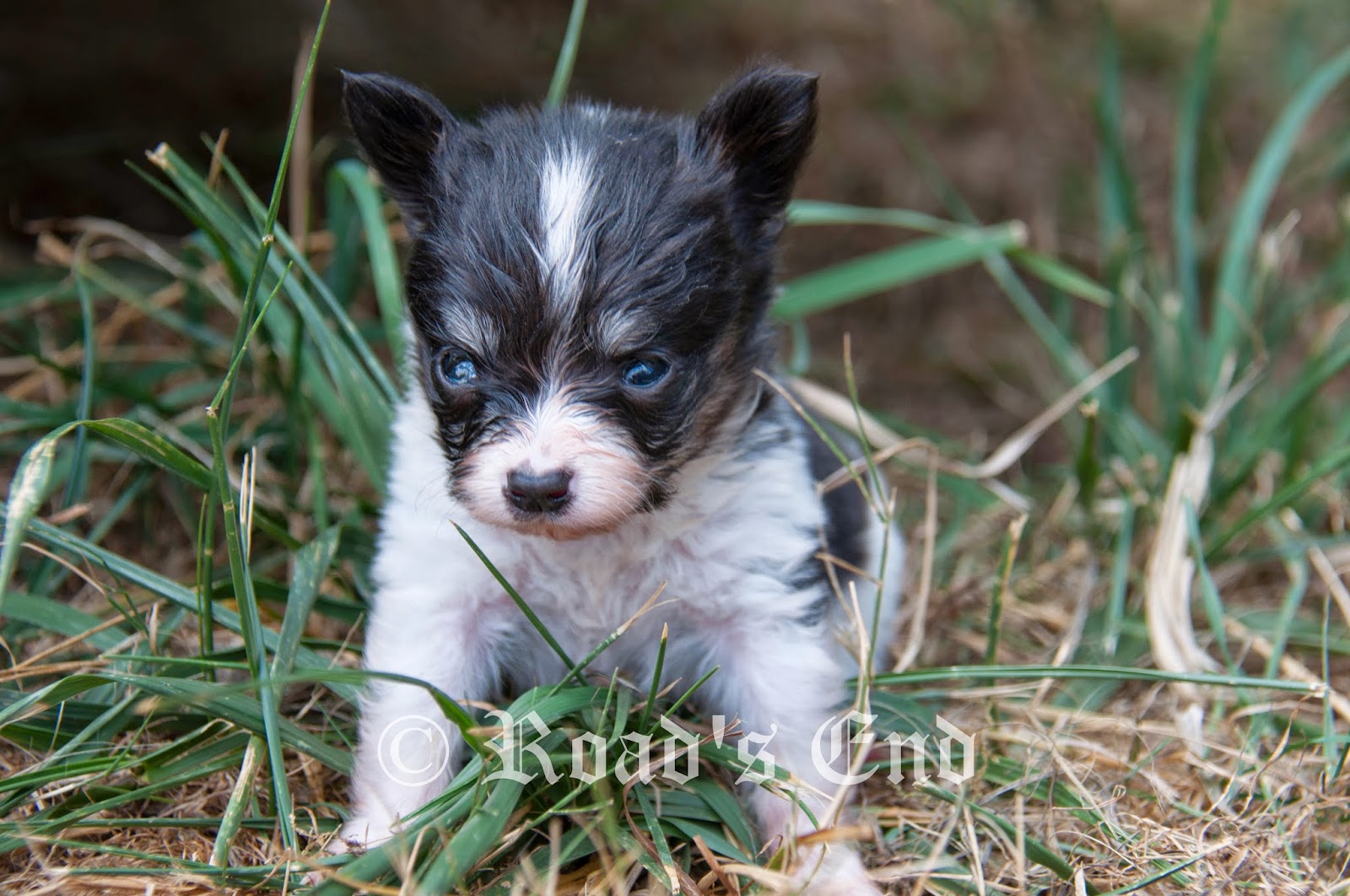 mature and boy galleries