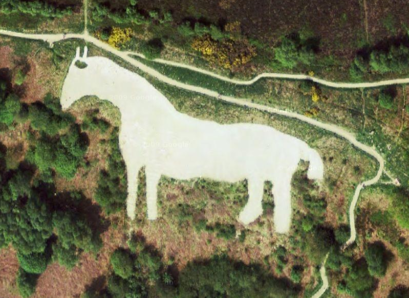 Something Surprising White Horses in the Chalk