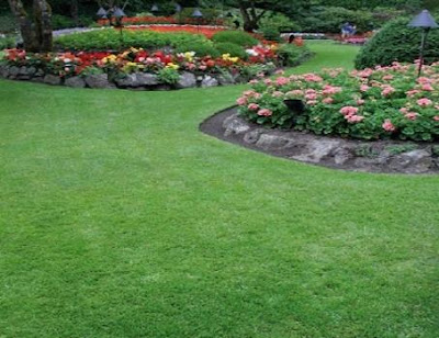 ARTE Y JARDINERÍA : Césped y sus cualidades. Funcionales y visuales