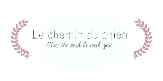 Le chemin du chien