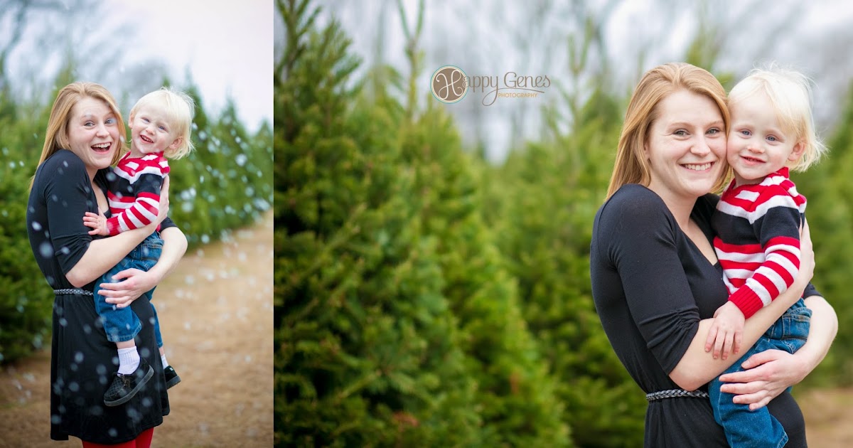 happy genes delaware christmas tree farm brooklyn bronx happy genes delaware christmas tree farm brooklyn bronx