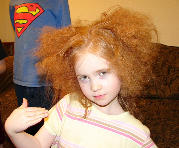 princess-crazyhair3.jpg