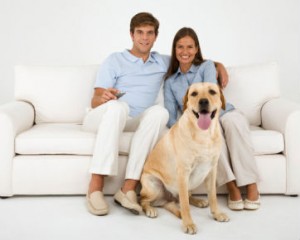 Penyakit Yang Dapat Di Deteksi Anjing [ www.BlogApaAja.com ]