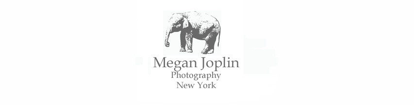 Megan Joplin Photography