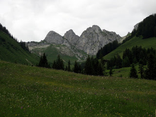 Wildflower meadow with distant craggy peaks, Switzerland