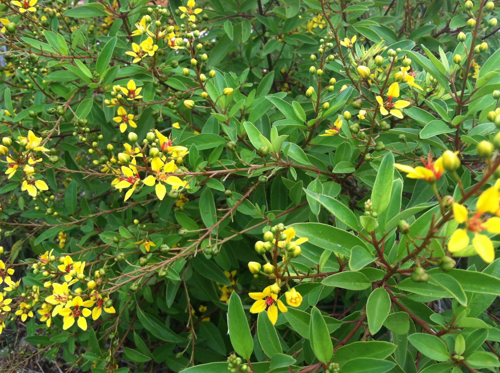 Mound House Happenings&hellip;