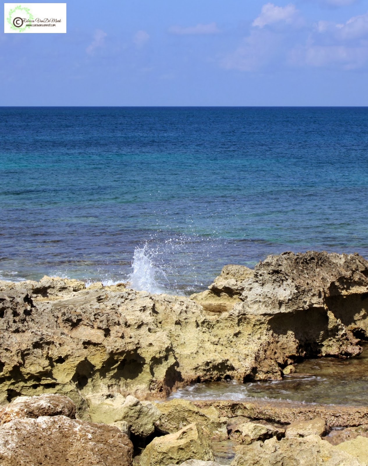 Cruising 2014: Day three Coco Cay, Bahamas | Caravan Sonnet