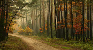 Soul on Path
