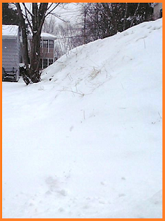 same hill, now totally covered with a fresh layer of snow.