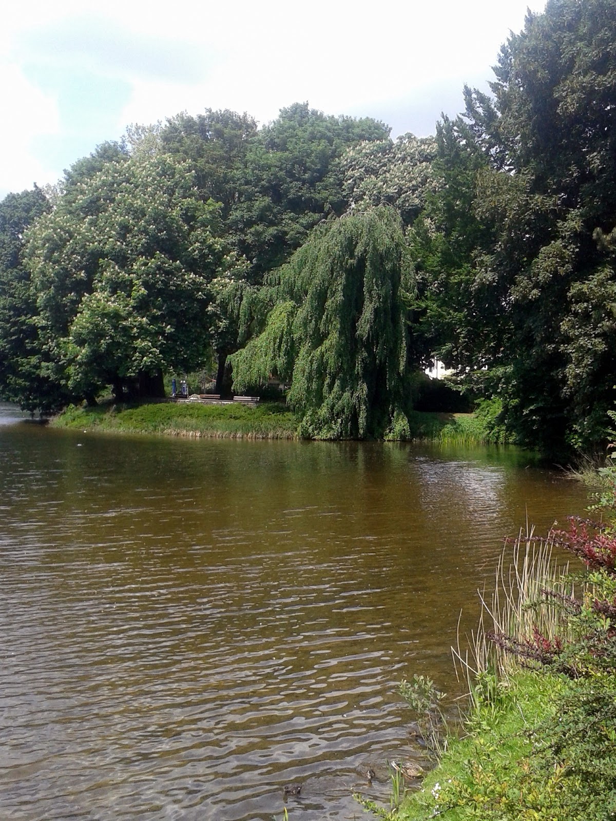 Sturmnacht Gelsenkirchen