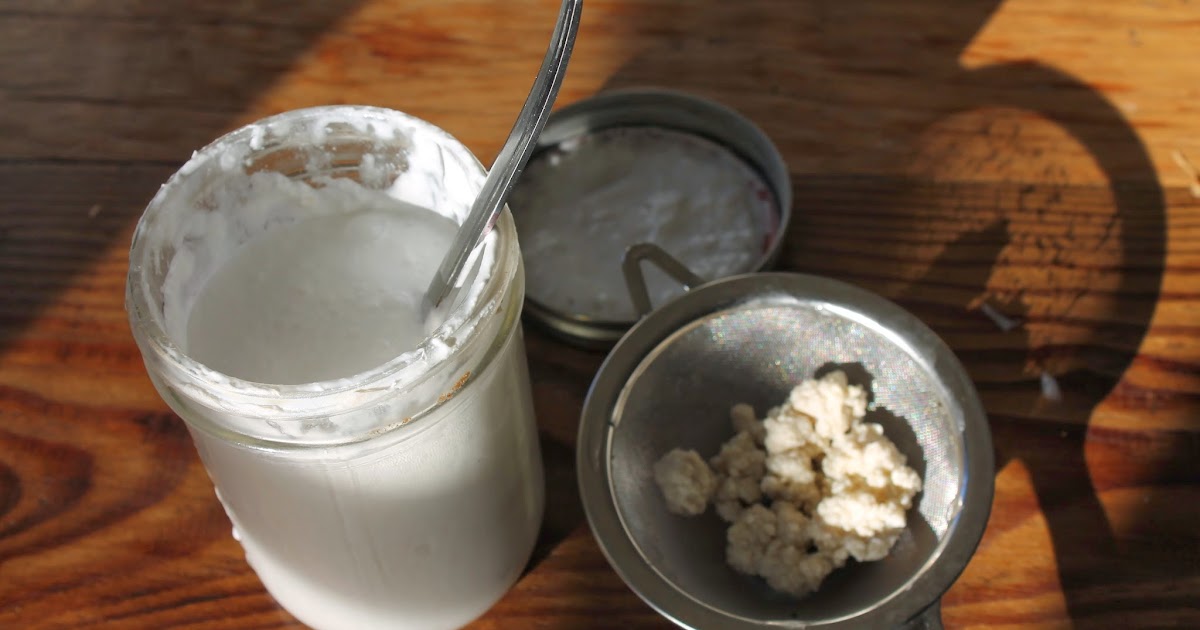 Kaiku Lifestyle Homemade Coconut Milk Kefir