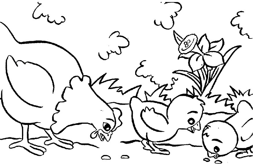 BAÚL DE COLOREAR: Colorear dibujos Gallinas con pollitos