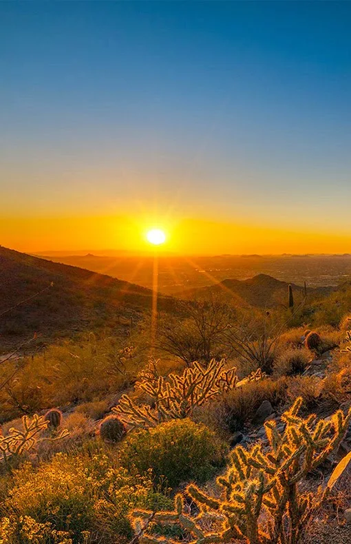 Sonoran Desert in Arizona,USA 